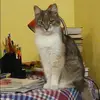 Отзыв от Майя Калашникова